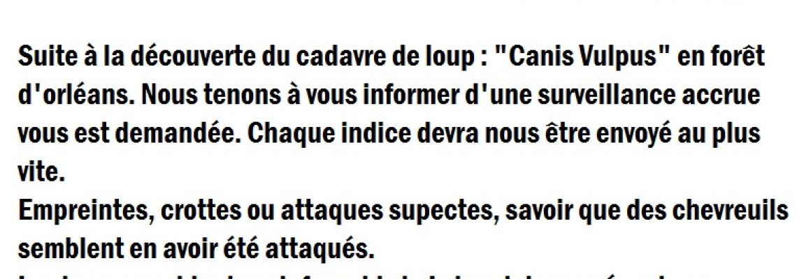 info-institut 2